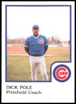 19 Dick Pole